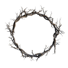 a wreath of branches and branches with a white background