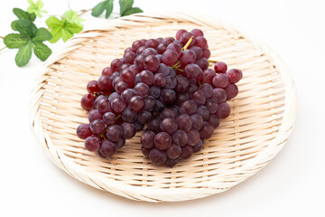 白背景にデラウェア