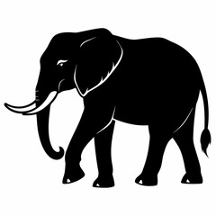 Fototapeta premium Majestic Elephant Silhouette: Walking Proudly, Trunk Raised High, Isolated Vector Graphic up zoo wild