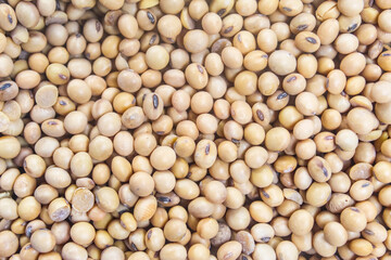 close-up of pile of soybeans