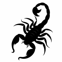 Desert Danger: Silhouette of a Curled Scorpion, Isolated on White, Venomous Arachnid, Wildlife,     