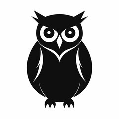 owl on white background