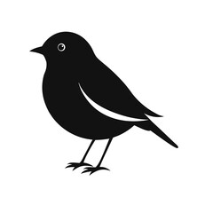 vector illustration of a bird