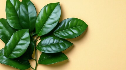 Fototapeta premium Lush Green Leaves on Pale Yellow Background