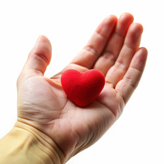 Fototapeta premium A hand holding a small red heart, symbolizing love, care