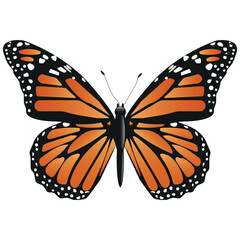 Vector Butterfly with wide wings and charming orange color. Colorful Moth with a colorful pattern. Abstract wings. Exotic decor from moths. Elegant flying insect