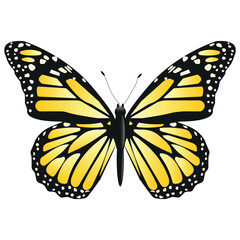 Vector Butterfly with wide wings and charming yellow color.