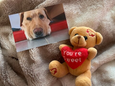 St Valentin&rsquo;s Day