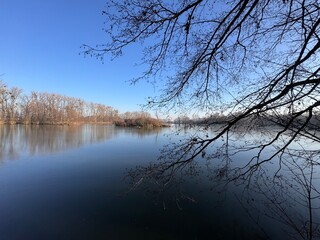 winter landscape with lake and trees