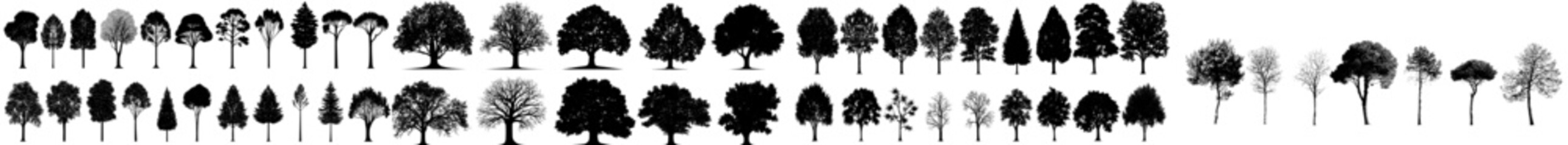 Modern tree silhouette. Isolated forest trees on a white background