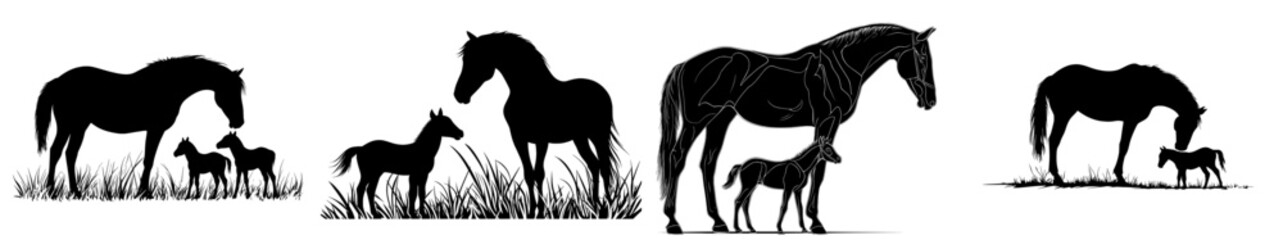 Horse and foal farm mammal black silhouette animal. Modern Illustrator