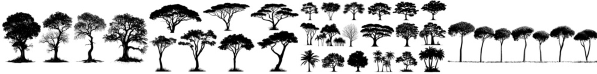 Fototapeta premium Black modern tree silhouette