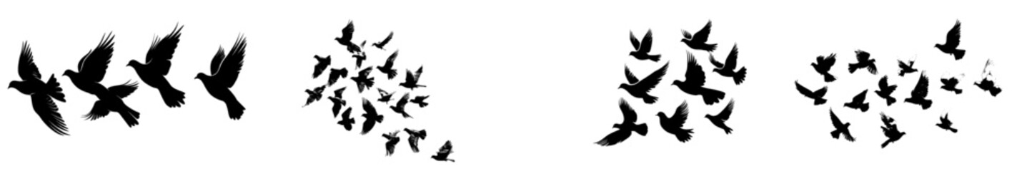 Flying birds silhouettes against a white backdrop. Modern illustration. Isolated bird in flight. Tattoo design