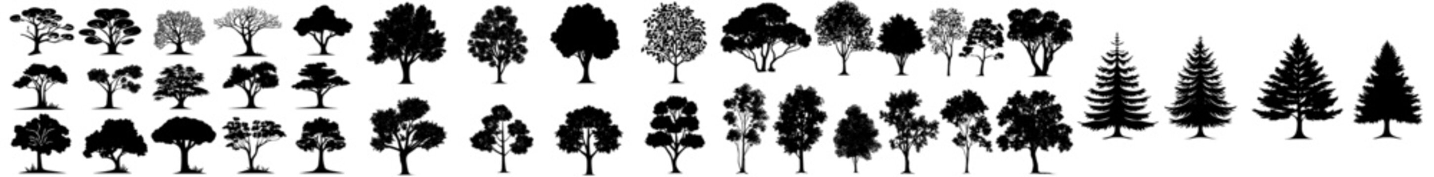 Various deciduous tree silhouettes on a white background
