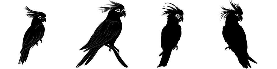 Parrot silhouette isolated on a white background, featuring a cockatoo icon. Represents the Popinjay logo and depicts an Australia, America, or eastern Indonesia wildlife bird in a side view. It © Andrei
