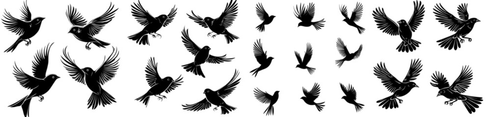 Modern black bird silhouettes on a clean white backdrop, forming an icon set