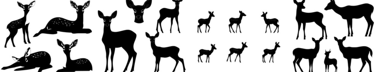 Fototapeta premium deer silhouette set, Graphic black silhouettes of wild deer