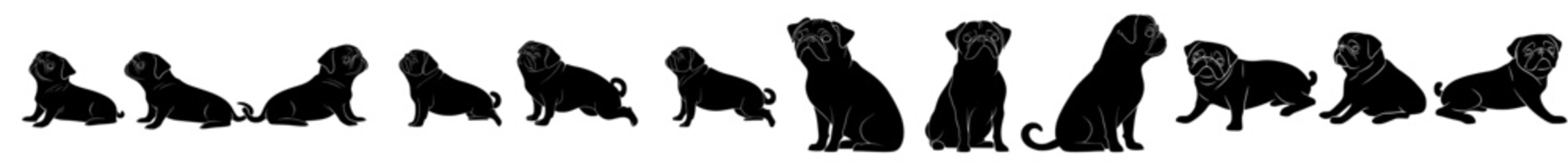 A standalone black silhouette of a pug dog, part of a modern collectionA black silhouette of a pug dog featured in a modern collectionModern collection featuring an isolated black silhouette of a pug