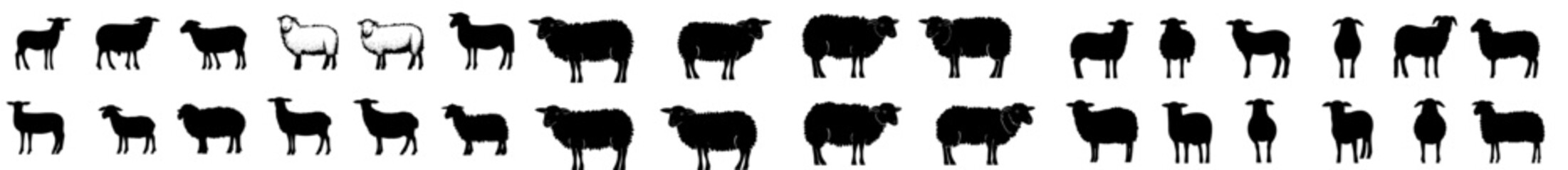 Fototapeta premium Set of sheep silhouettes, modern design in a large pack, against an isolated white background
