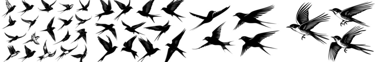 Modern silhouette of a flock of flying birds  Modern set featuring a silhouette of flying black birds  Silhouette of a modern flock of flying birds  A modern set of a flying black bird silhouette