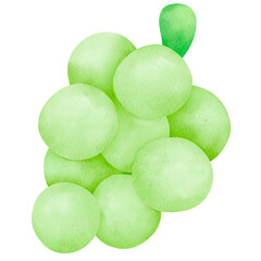 Grape Cute Watercolor