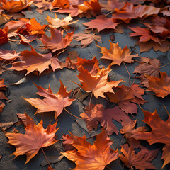 A scattering of vibrant orange and red autumn maple leaves lies on a dark toned surface.