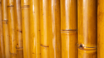 Bamboo Stem Texture – Natural Background & Design Material