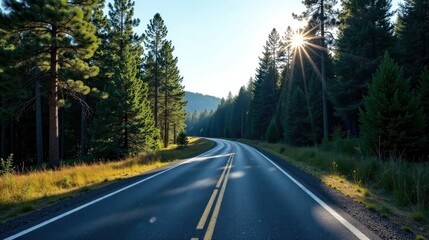 Serene asphalt road curving through a sun-dappled evergreen forest, bathed in the golden light of sunrise