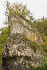 Autumn Landscape. Picturesque rock in yellow autumn forest.