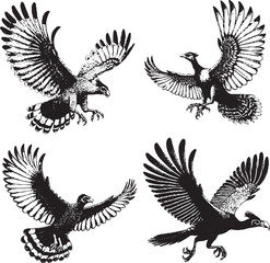 Dynamic Bird Flight Illustrations - Detailed Black-and-White Sketches