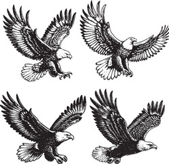 Majestic Eagle Illustrations - Detailed Black-and-White Flight Sketches