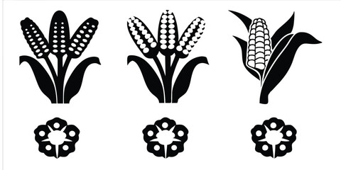Modern Engraving Illustration Set of Maize Plant, Corn Cobs, and Popcorn Sketches