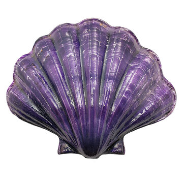 a purple shell shaped object on a white background