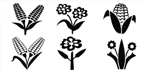 Modern Engraving Illustration Set of Maize Plant, Corn Cobs, and Popcorn Sketches