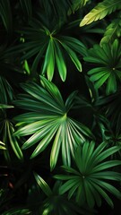 Lush Green Tropical Leaves Close-Up