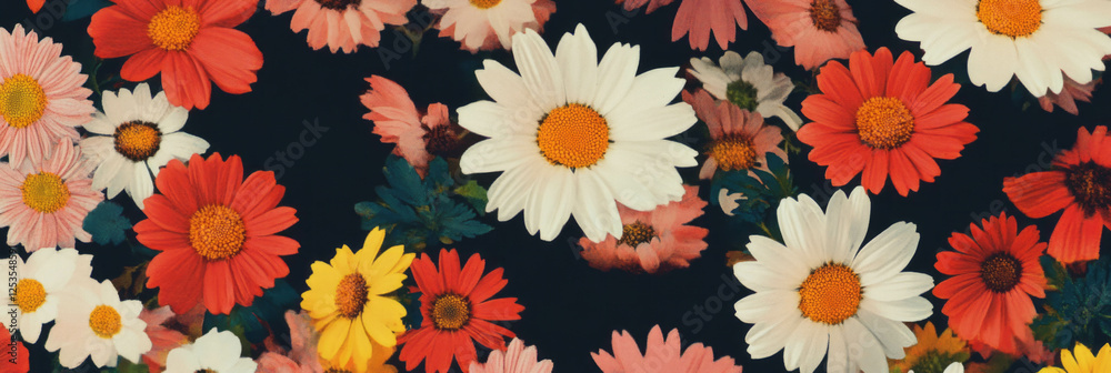 Poster seamless pattern featuring textured daisies with african geometric borders in varied sizes
