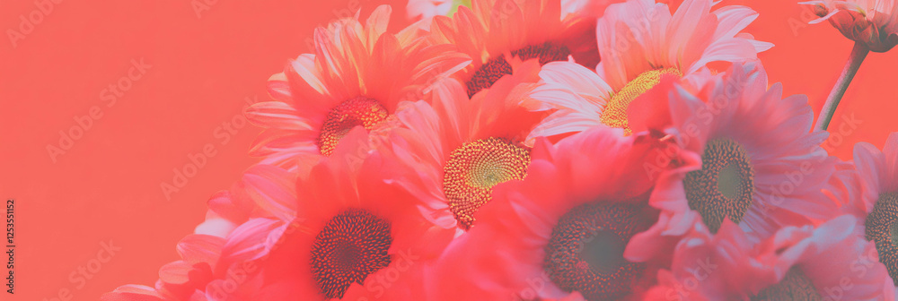 Poster bright sunflowers create a vibrant display against a coral background for decorative use