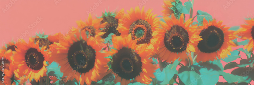 Poster cluster of vibrant sunflowers on a coral background creating a cheerful atmosphere