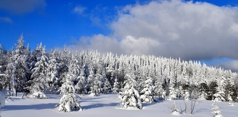 The top of the snow-capped mountain, Qu&eacute;bec, Canada
