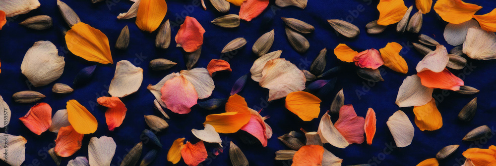 Aufkleber Scattering of sunflower seeds and dried petals on indigo background creating a textured pattern