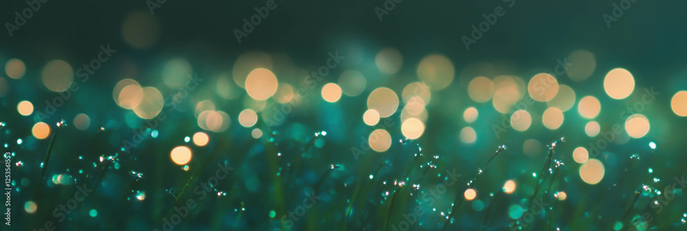 Poster blurred field of tall grass with bokeh highlights creates a dreamy atmosphere