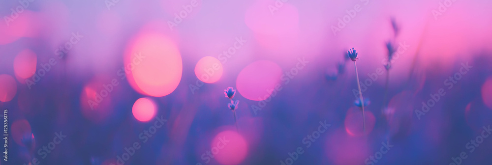 Poster Blurred lavender field with soft bokeh tones creating a serene atmosphere for backgrounds