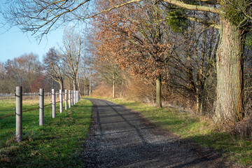 Fototapeta premium Quiet country path along horse fences and large trees. Infrastructure for walking, running and cycling in nature in Germany