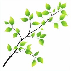Obraz premium Spring branch with fresh green leaves isolated