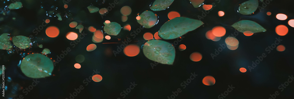 Poster droplets on a textured leaf showcase vibrant reflections of surrounding foliage and light