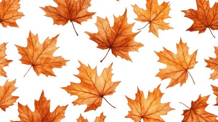 Golden orange-brown color of maple tree leaves in autumn, winter tree canopy foliage isolated against flat background