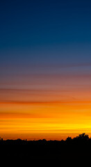 Fototapeta premium Fiery Sunset Silhouette: Dramatic Sky, Golden Hour, Dusk Landscape & Black Forest Trees