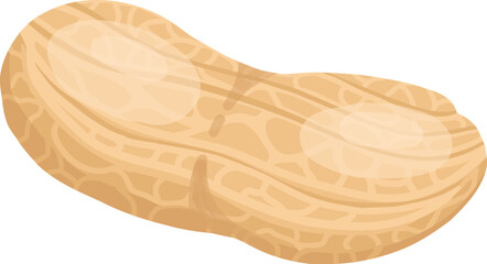 Cartoon peanut. Delicious tasty peanuts snack, raw peanut in shell flat vector illustration. Crunchy peanuts nut on white