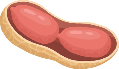 Cartoon peanut. Delicious tasty peanuts snack, raw peanut in shell flat vector illustration. Crunchy peanuts nut on white