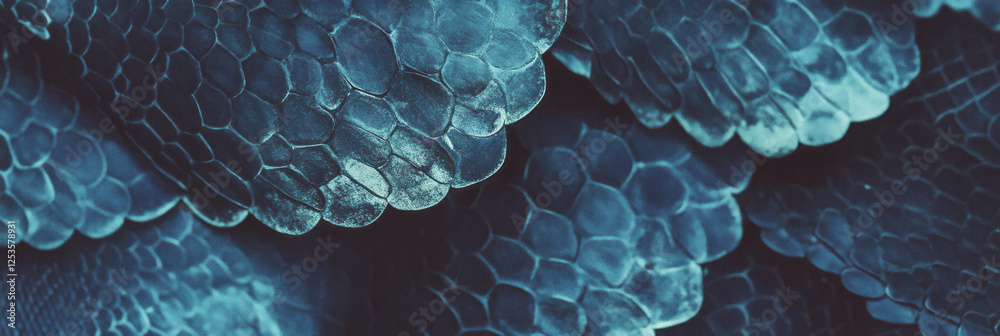 Poster hand-drawn snake skin texture featuring irregular hexagonal scales in varied gray tones